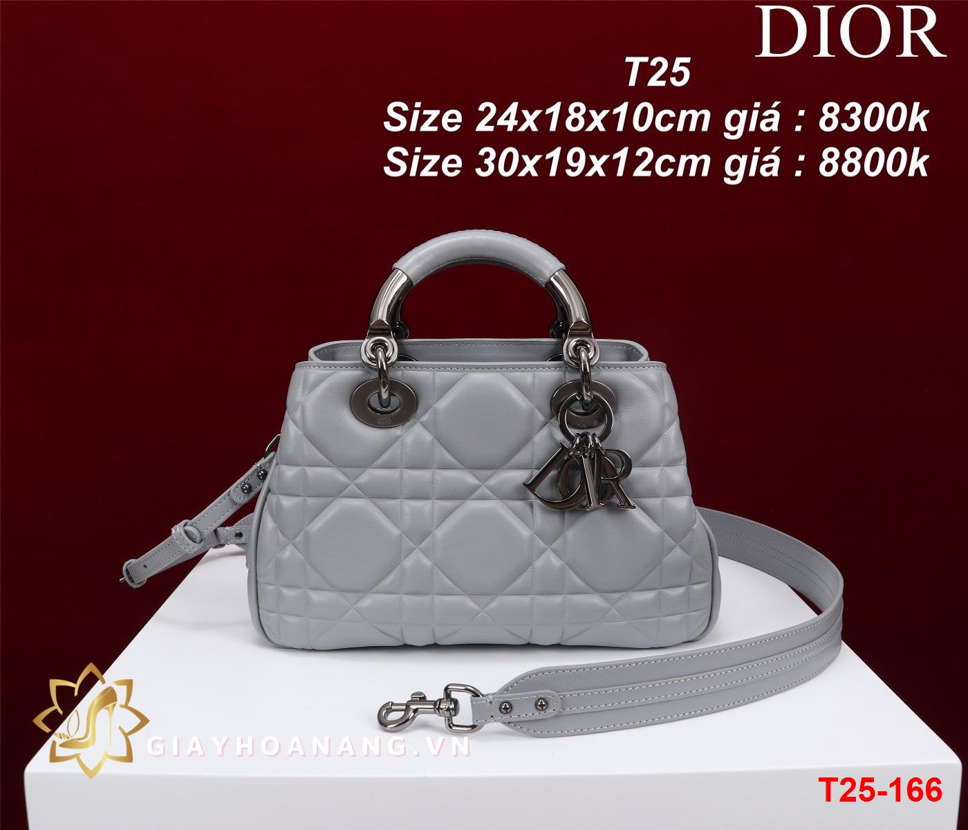 T25-166 Dior túi size 24cm , 30cm siêu cấp