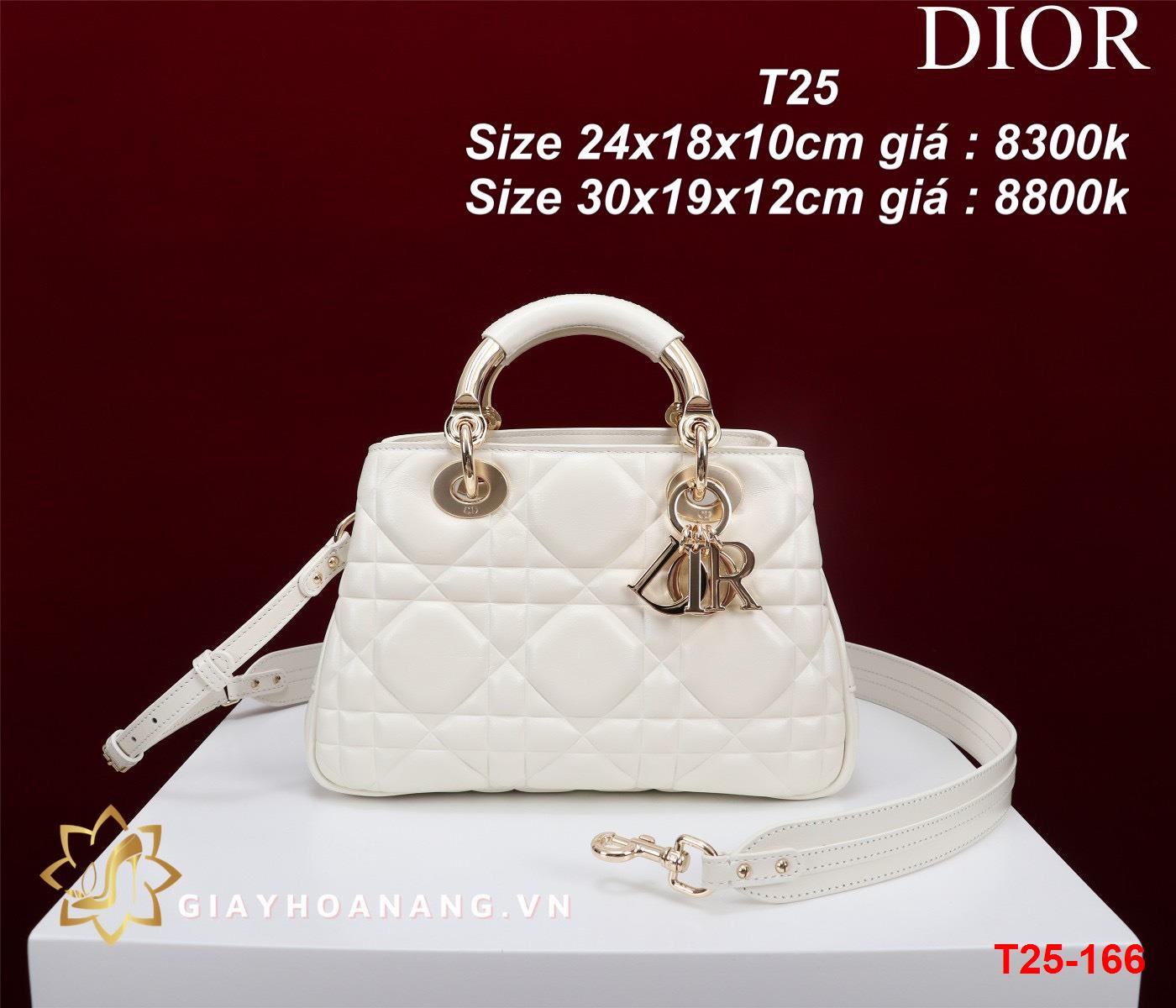 T25-166 Dior túi size 24cm , 30cm siêu cấp
