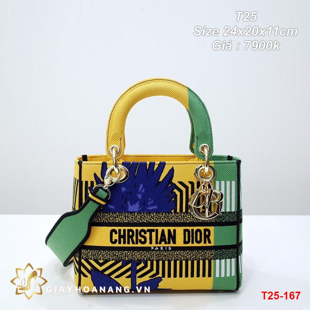 T25-167 Dior túi size 24cm siêu cấp