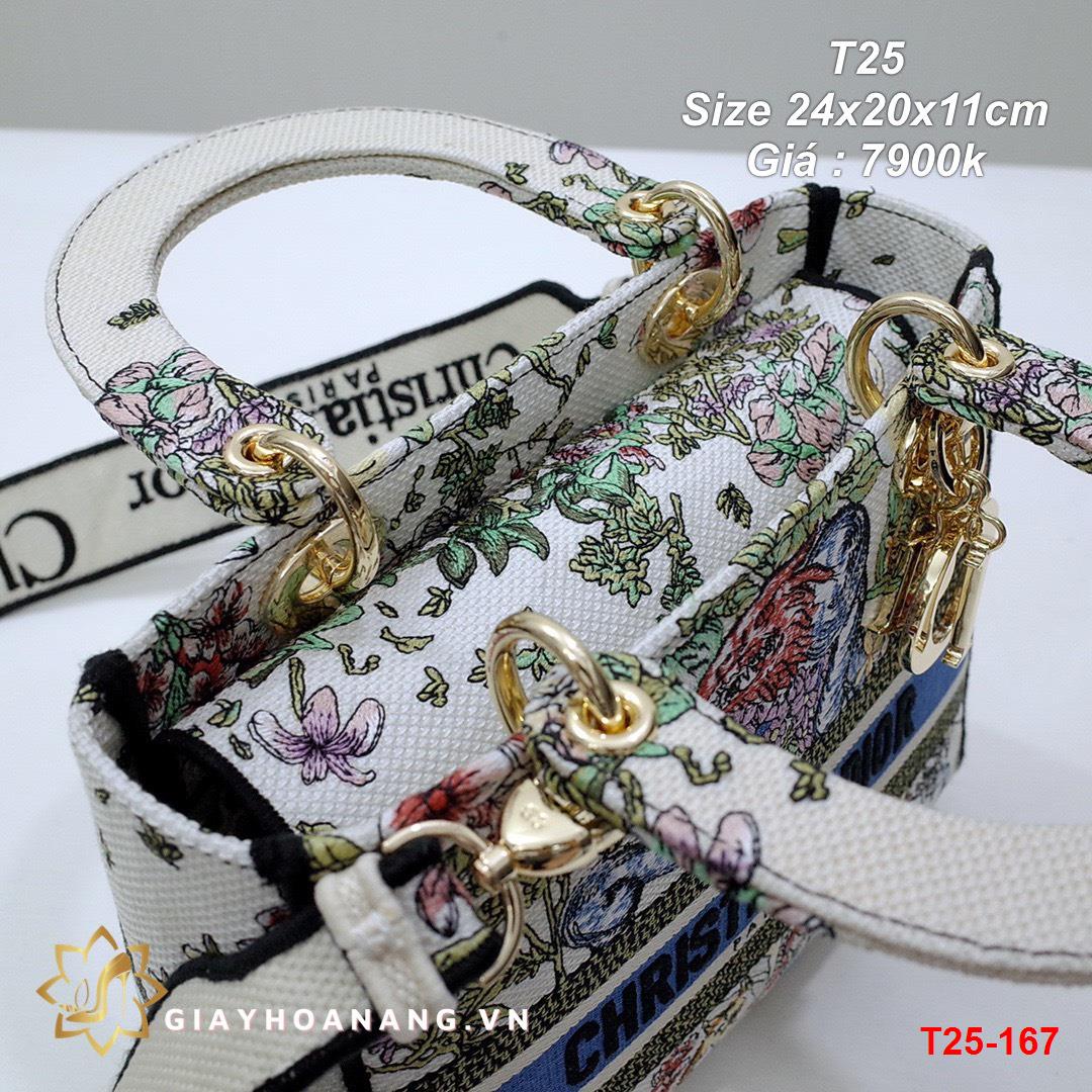 T25-167 Dior túi size 24cm siêu cấp