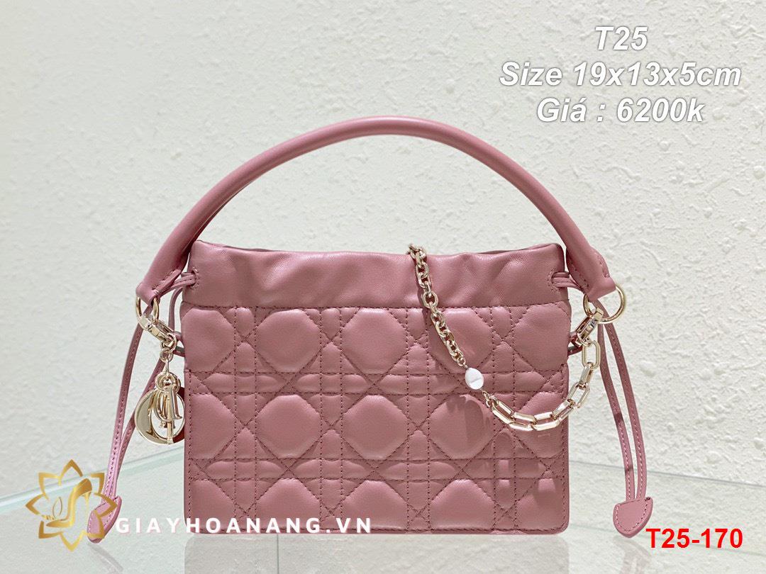 T25-170 Dior túi size 19cm siêu cấp