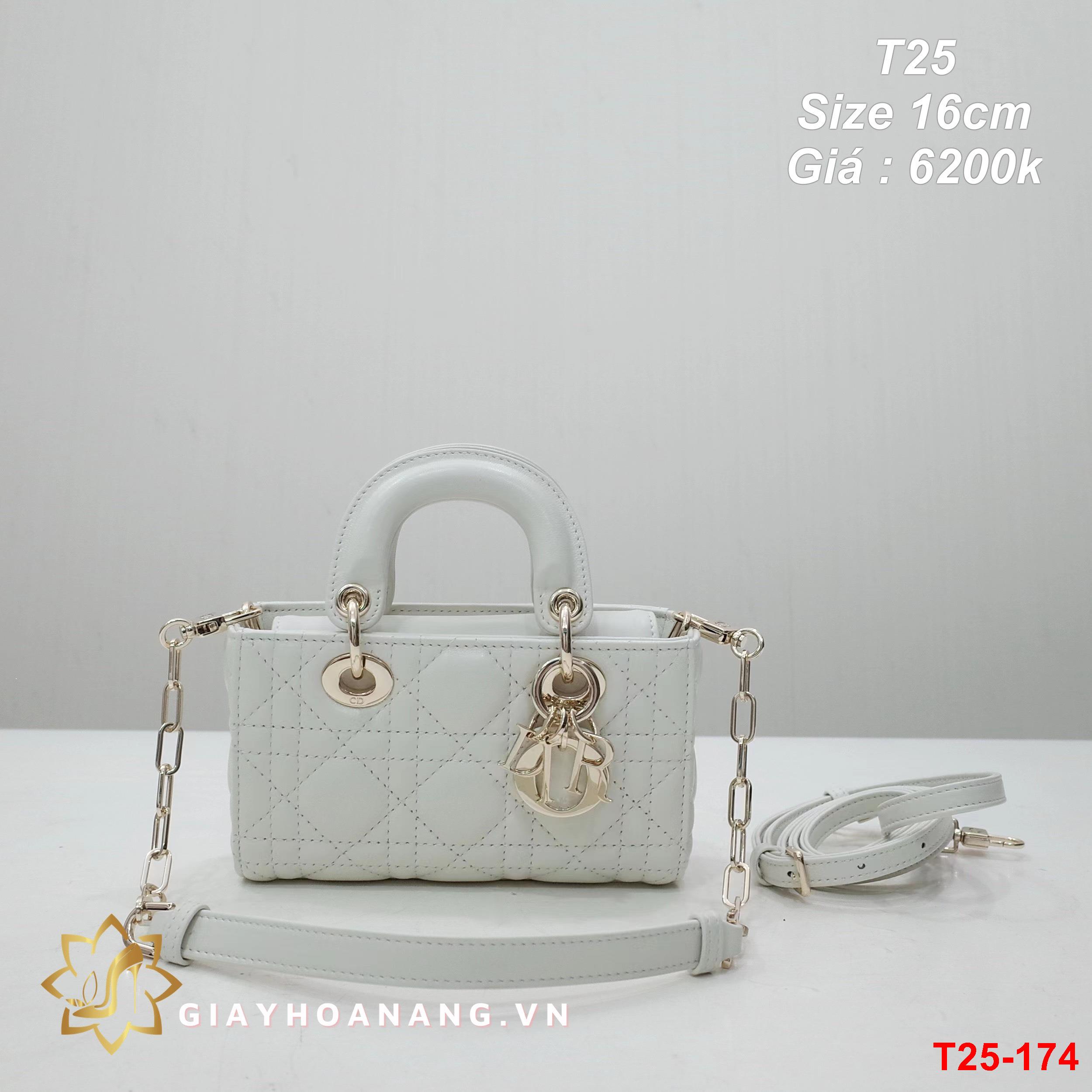 T25-174 Dior túi size 16cm siêu cấp