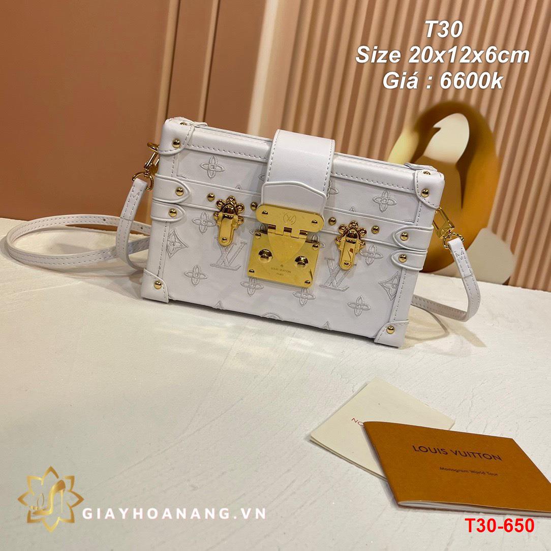 T30-650 Louis Vuitton túi size 20cm siêu cấp