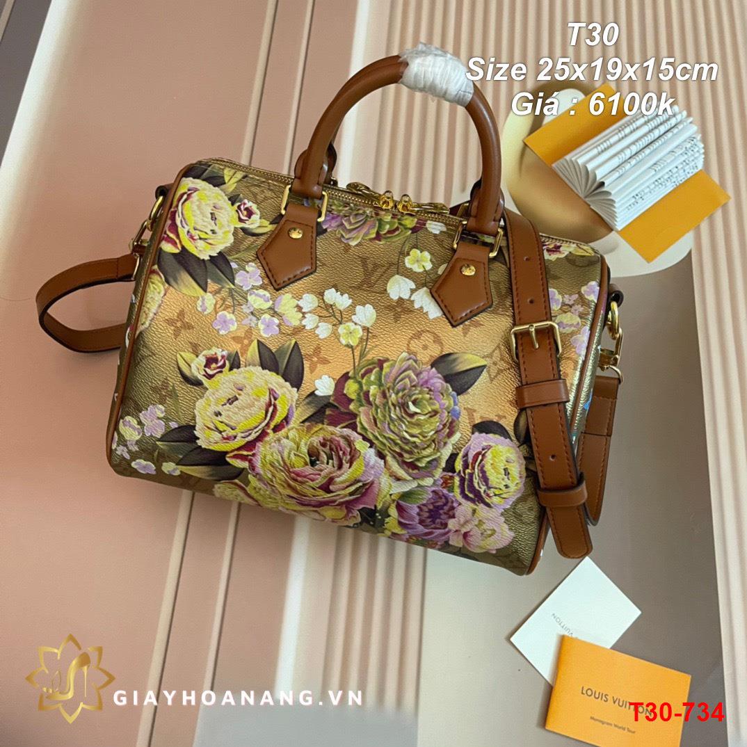 T30-734 Louis Vuitton túi size 25cm siêu cấp