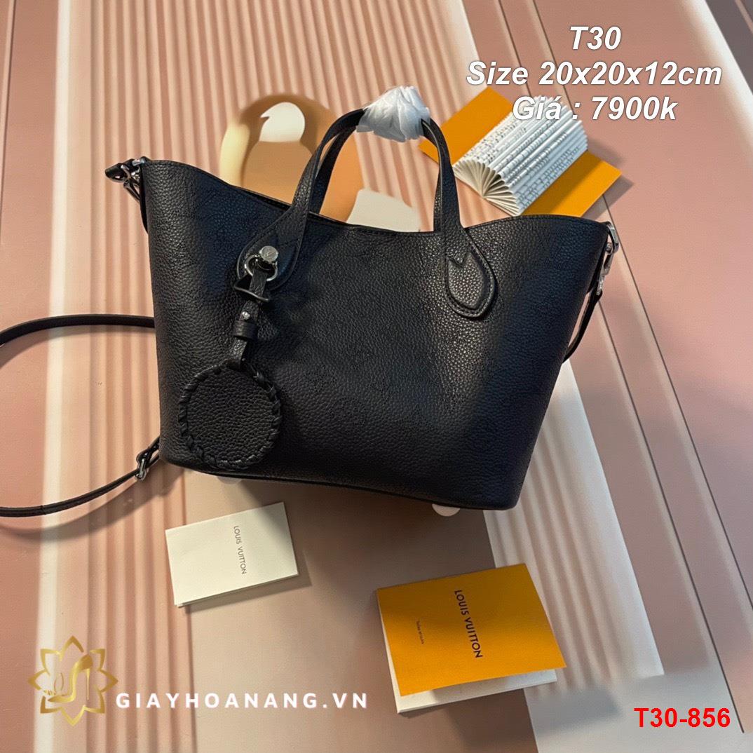 T30-856 Louis Vuitton túi size 20cm siêu cấp