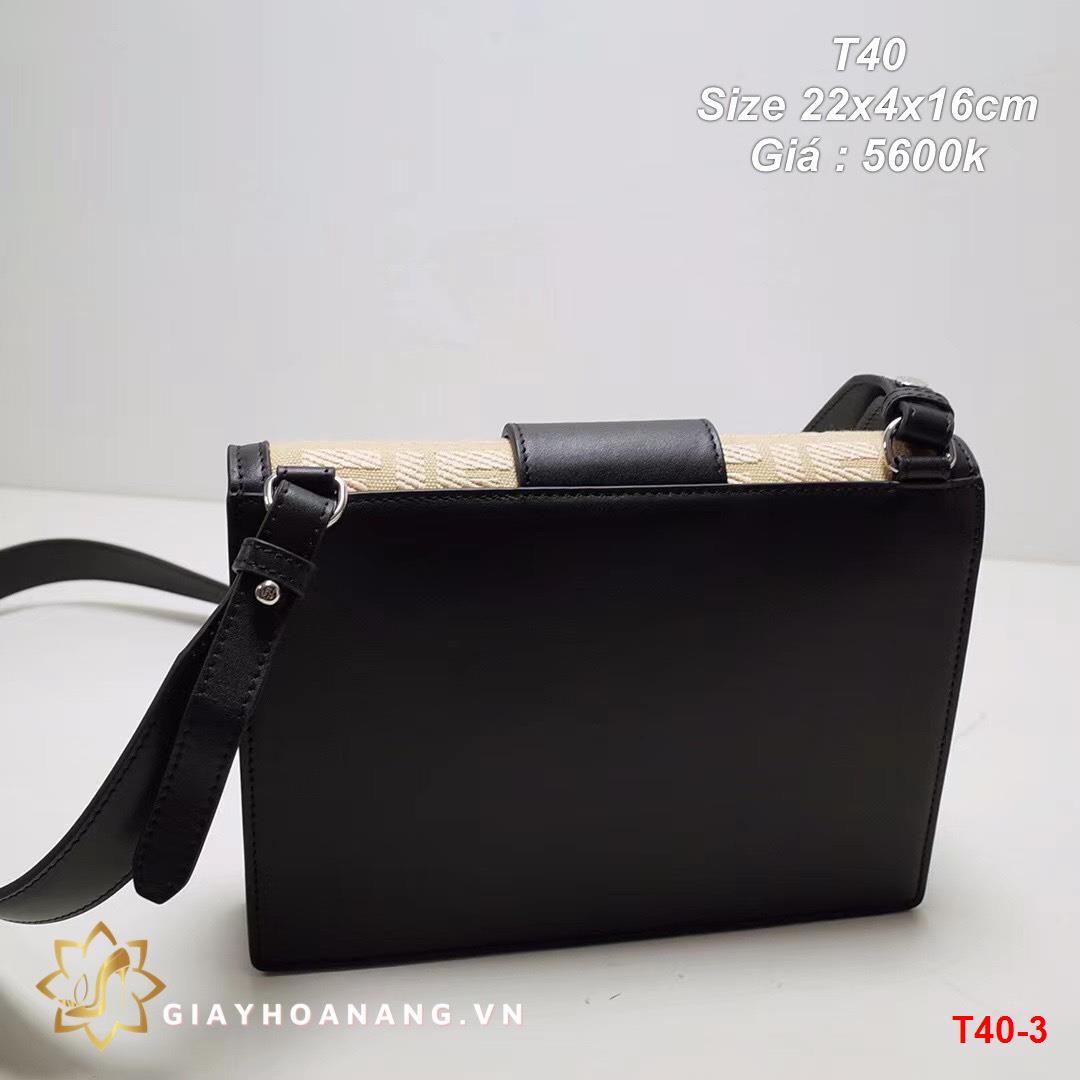 T40-3 Fendi túi size 22cm siêu cấp