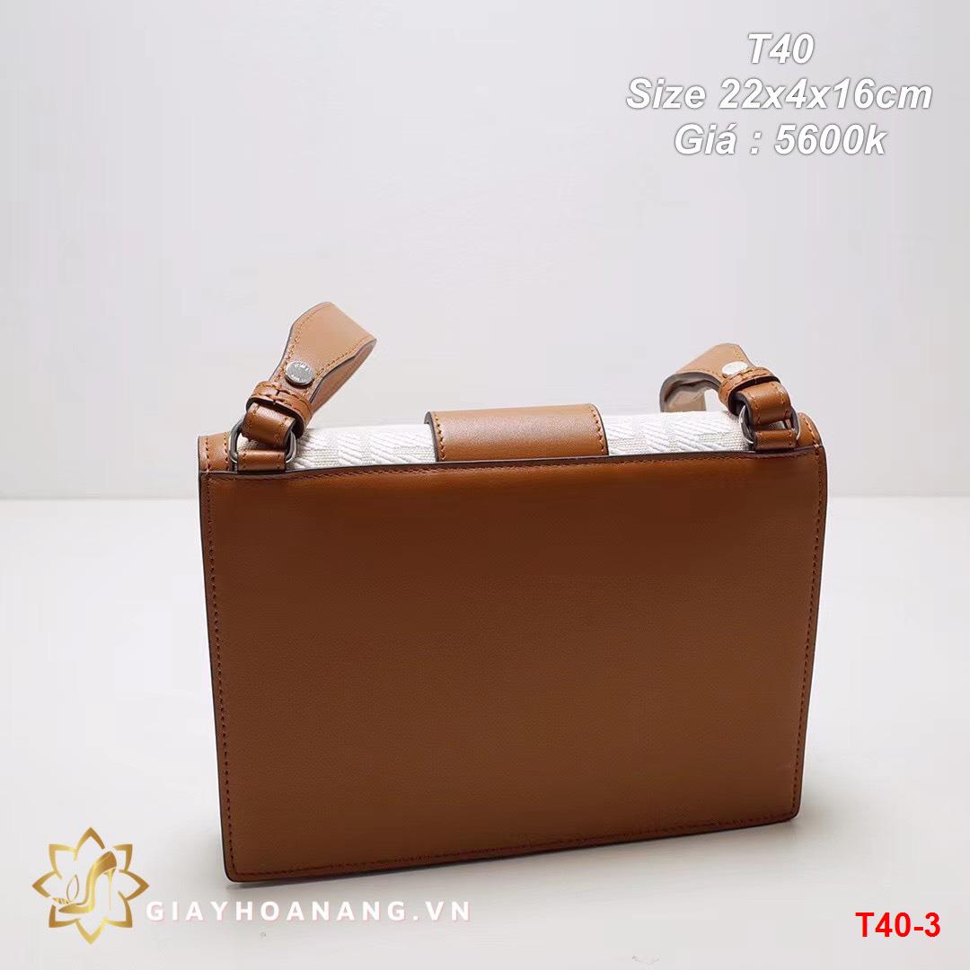 T40-3 Fendi túi size 22cm siêu cấp