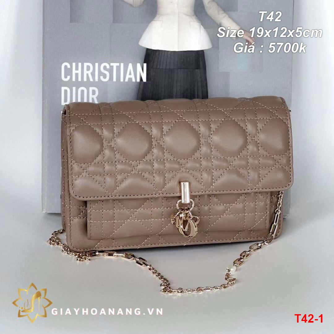 T42-1 Dior túi size 19cm siêu cấp