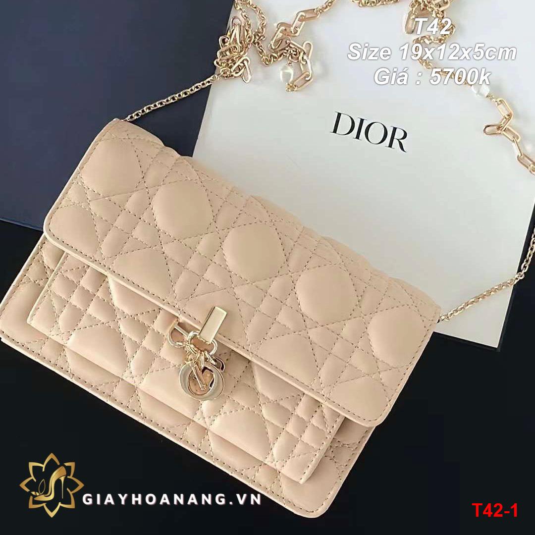 T42-1 Dior túi size 19cm siêu cấp