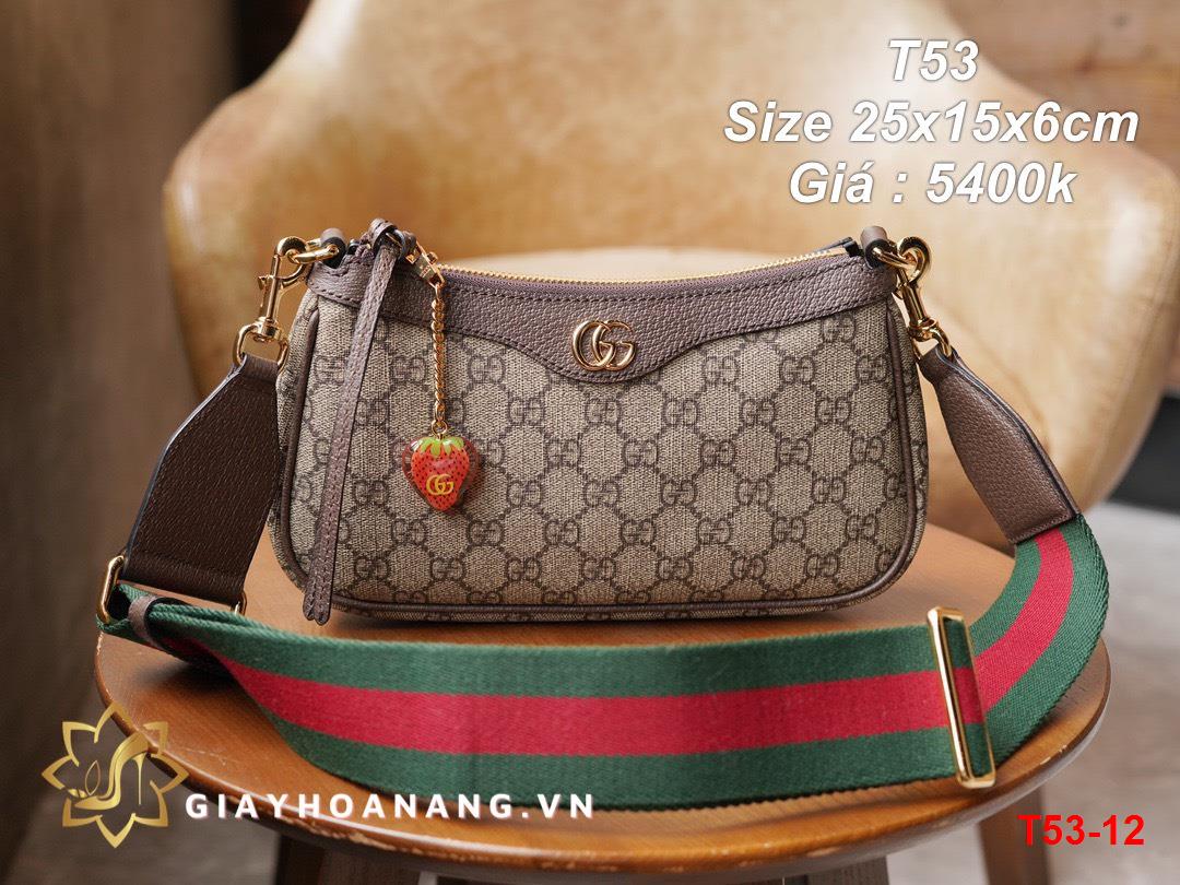 T53-12 Gucci túi size 25cm siêu cấp