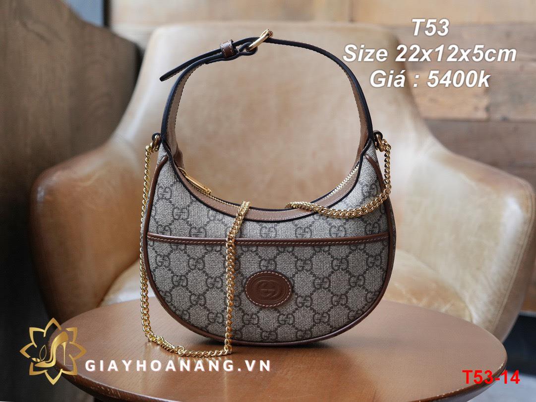 T53-14 Gucci túi size 22cm siêu cấp