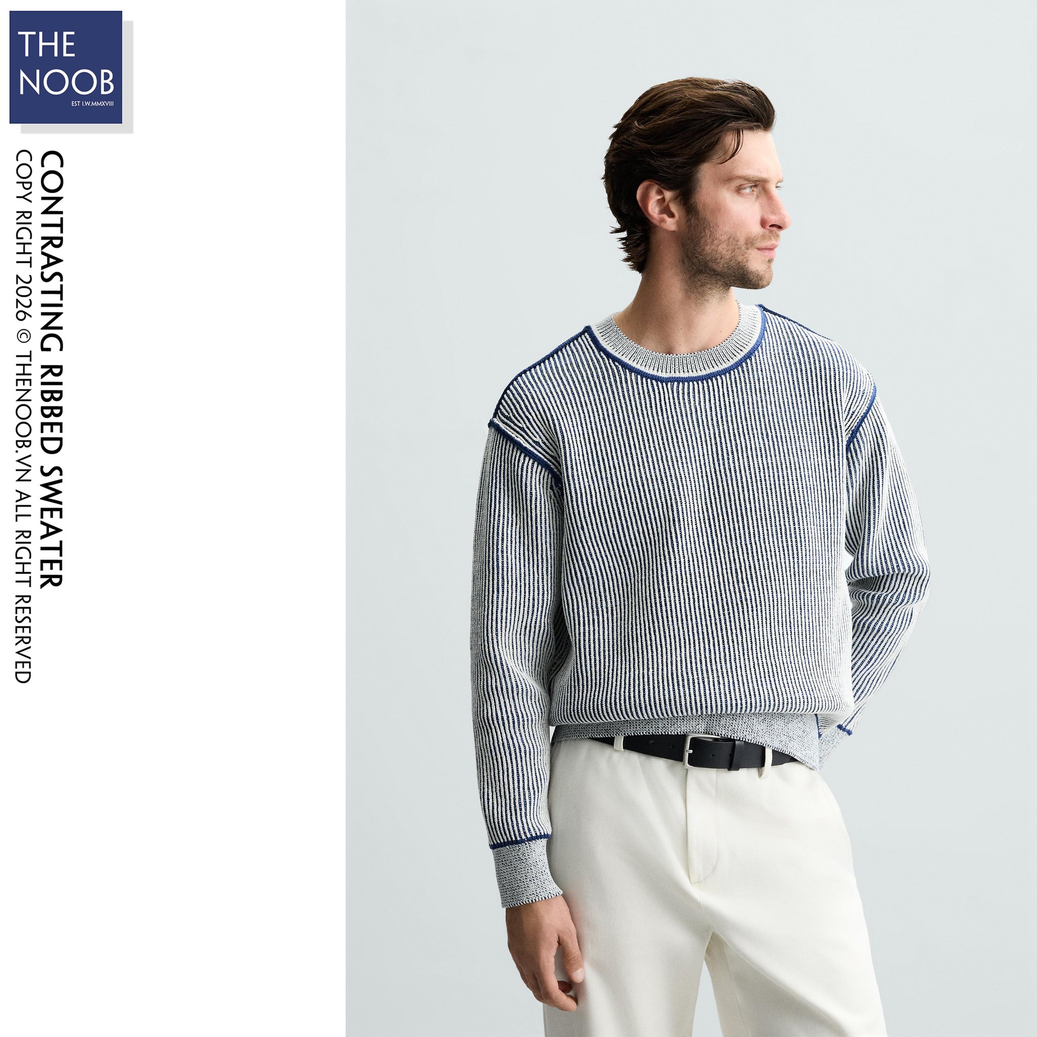 Z.R - Áo Len Dệt Kim Vân Sọc Nổi - 2026AN09