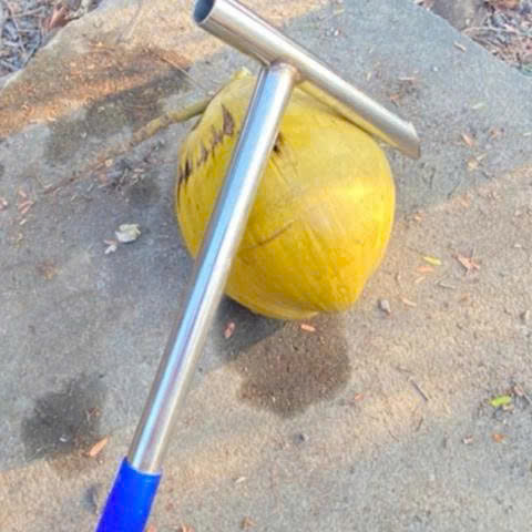 Búa Đục Dừa Búa Khui Dừa