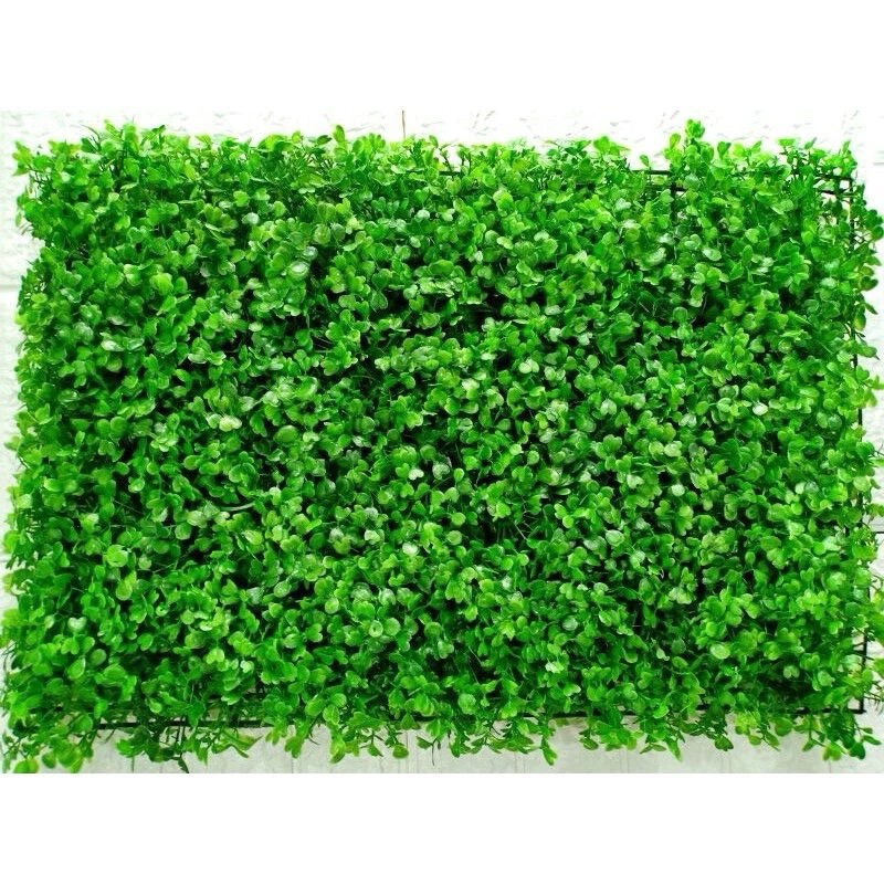 Cỏ trang trí cải xoong 40x60cm