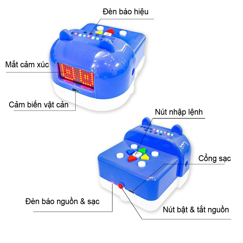 Robot giáo dục mầm non Rio