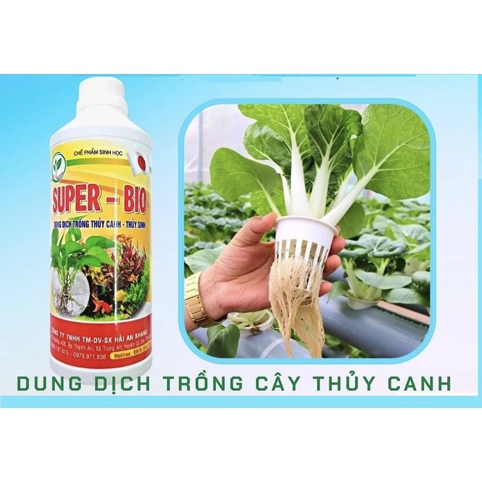 Dung Dịch Thuỷ sinh superbio 1 lít