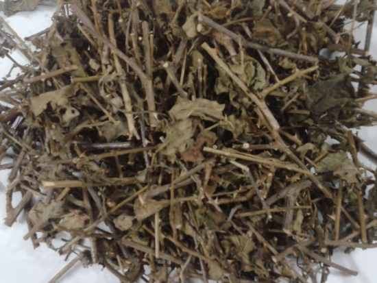 cây cà gai leo khô chữa xơ gan cổ trướng