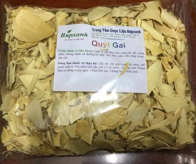 CÂY QUÝT GAI ĐỊA CHỈ BÁN CÂY QUÝT GAI