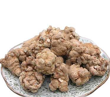 củ tam thất bắc