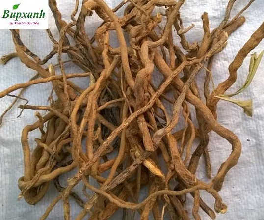 xáo tam phân chữa xơ gan cổ trướng