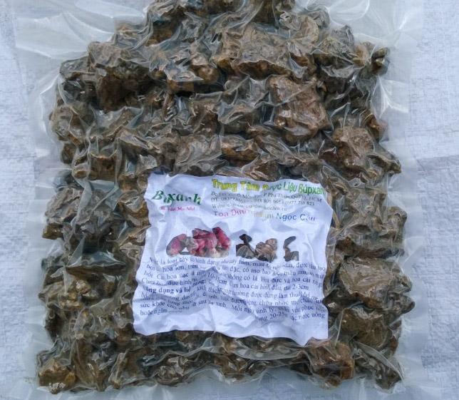 công dụng nấm ngọc cẩu