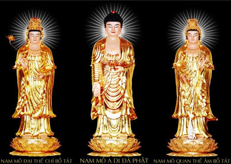 tượng Thích Ca và A Di Đà sự khác biệt