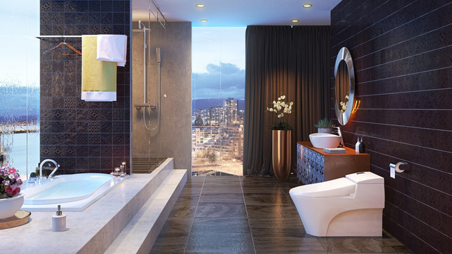 XU HƯỚNG THIẾT BỊ VỆ SINH: HÀNG CAO CẤP LÊN NGÔI