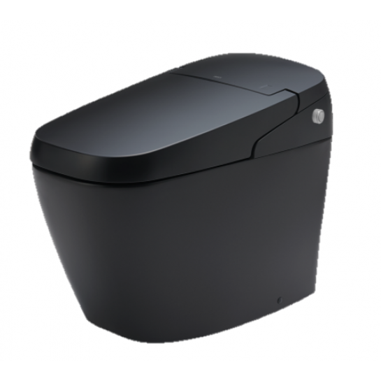 Bồn cầu thông minh INAX AC-G216VN/BKG