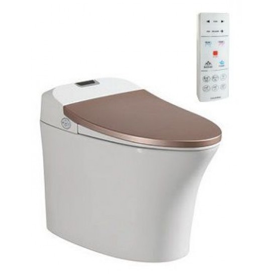 Bồn Cầu Thông Minh Viglacera V93.GW