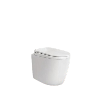 Bồn cầu âm tường Viglacera V56