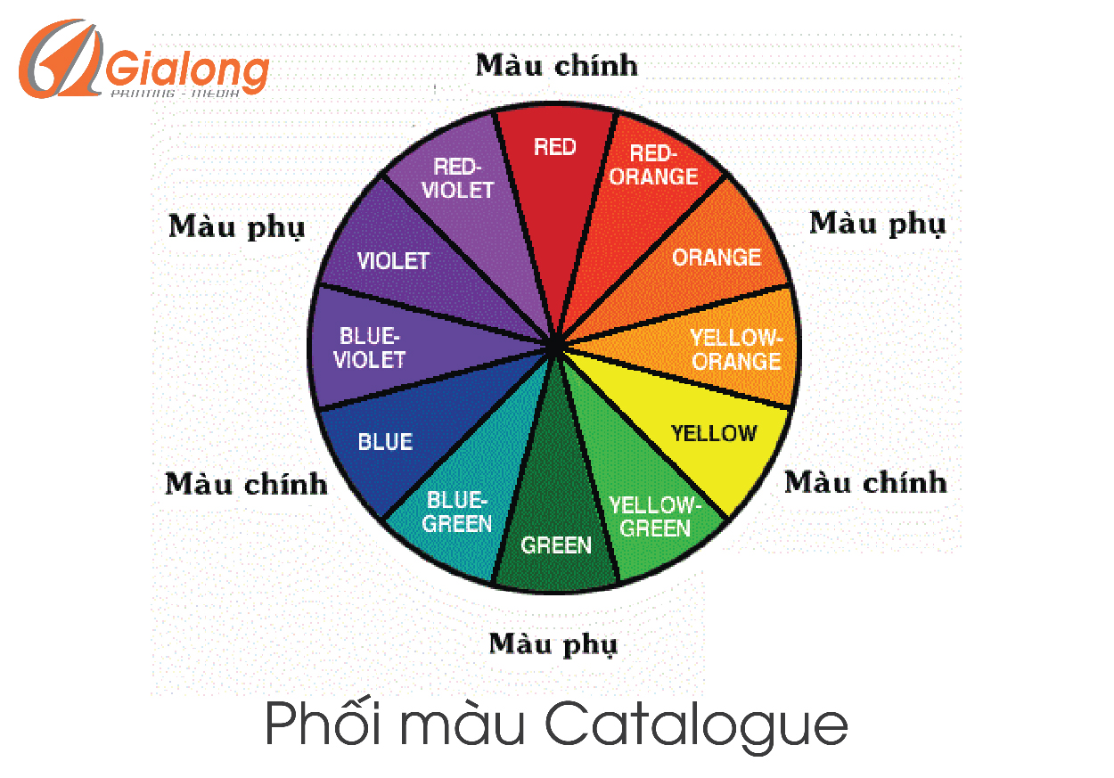 BÍ KÍP PHỐI MÀU CHO CATALOGUE CHUYÊN NGHIỆP