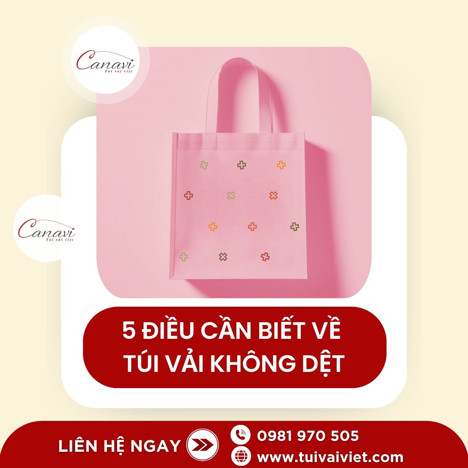 5 điều cần biết về túi vải không dệt