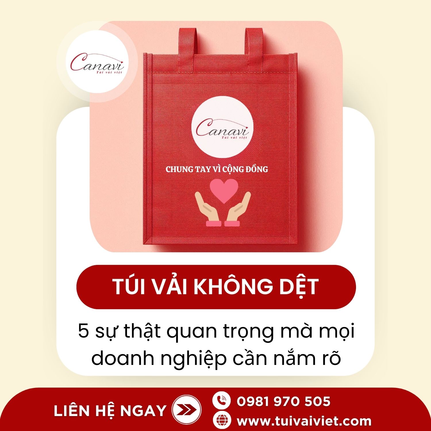 5 sự thật mà doanh nghiệp cần biết về túi vải không dệt