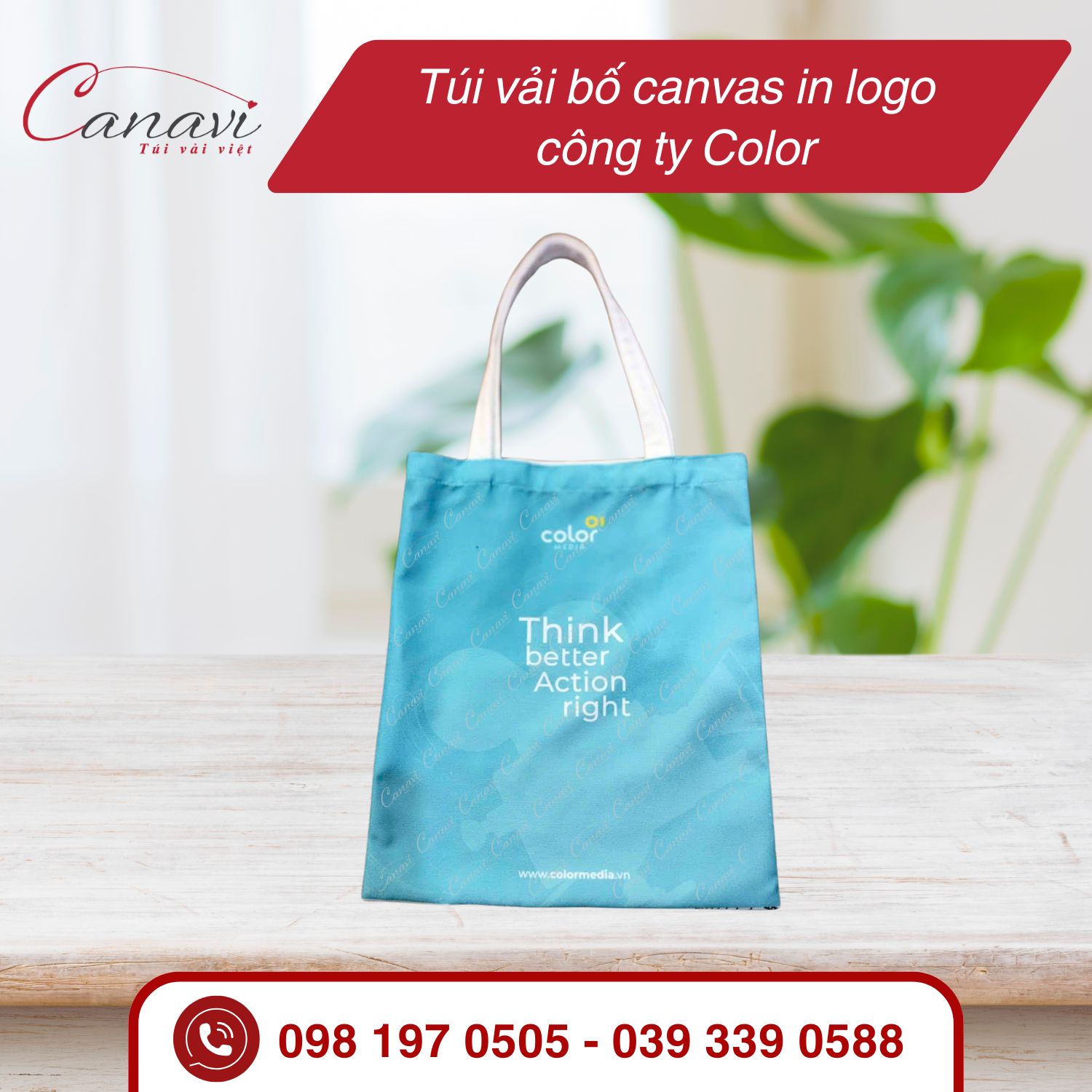 Túi vải bố canavs in logo công ty Color