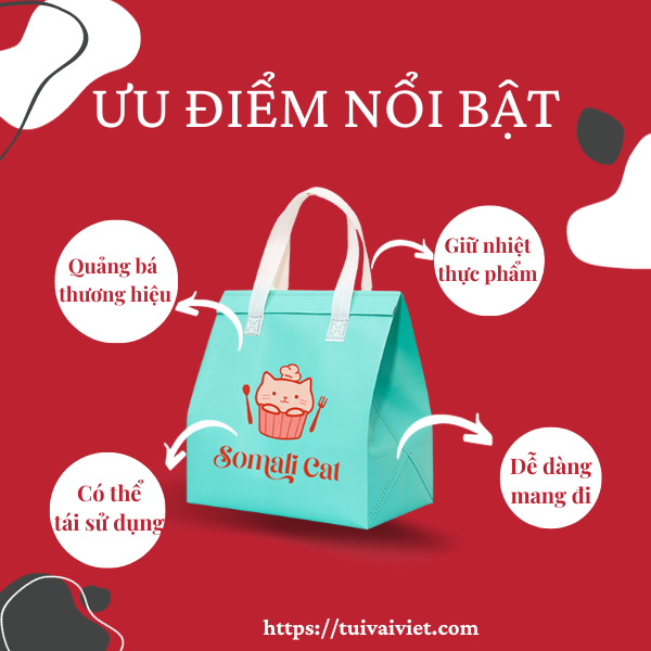 ưu điểm nổi bật của túi vải không dệt giữ nhiệt