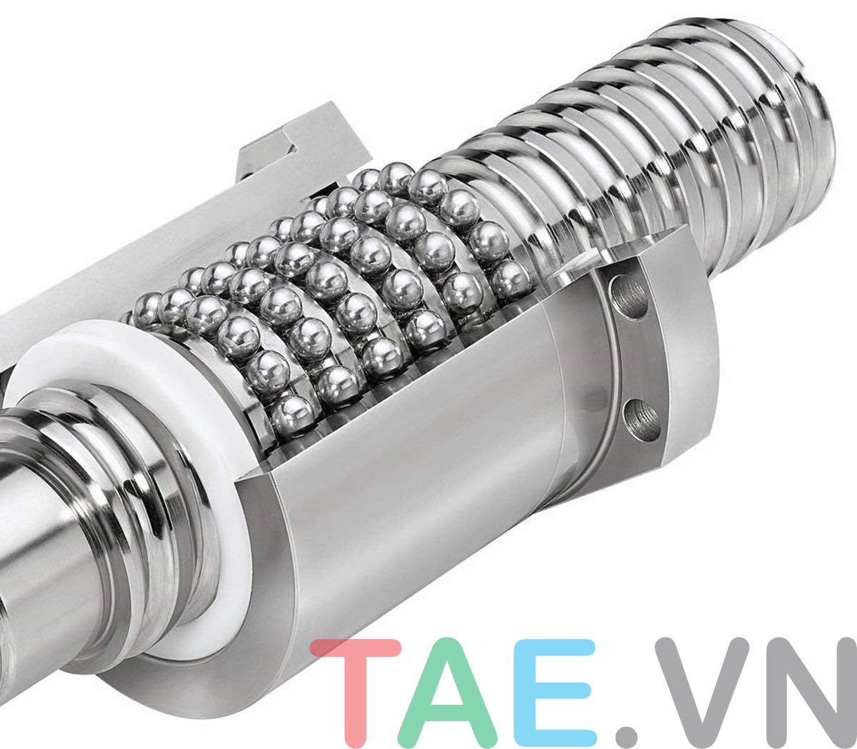 Vitme Bi Lead Screw SFU3210