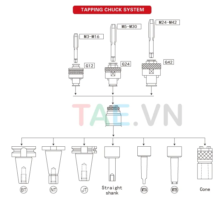 Collet Mũi Taro TC312
