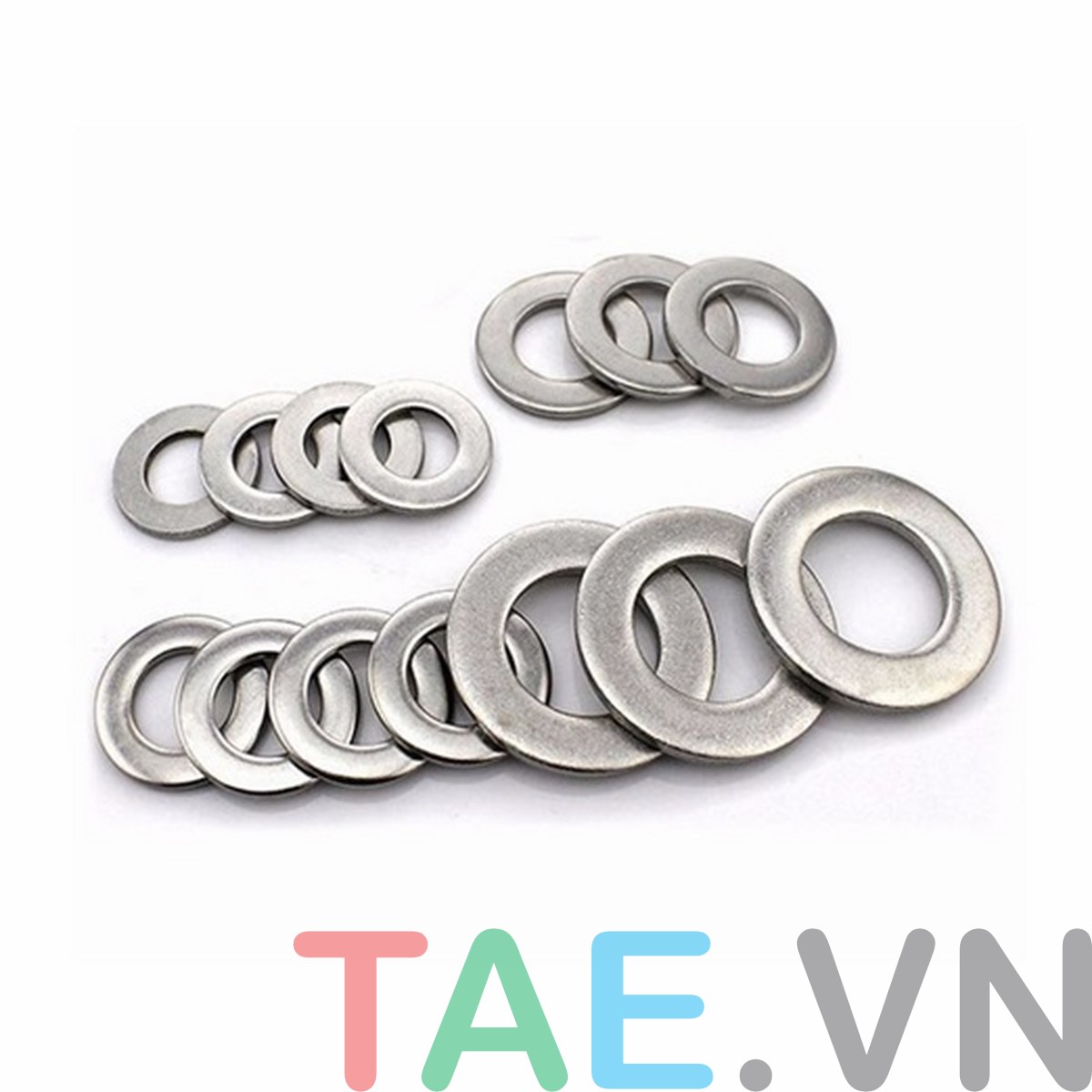Long Đền Inox TAE SHOP