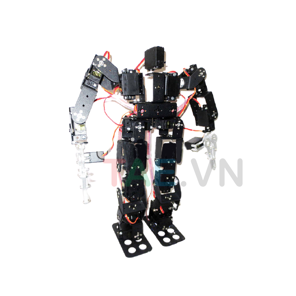 Robot Hình Người DIY Tự Lắp Ráp