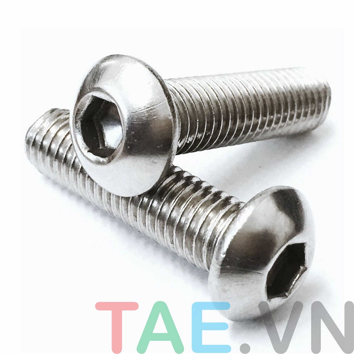 Ốc Lục Giác Đầu Dù Inox M3 (20PCS) Trường An Equipment