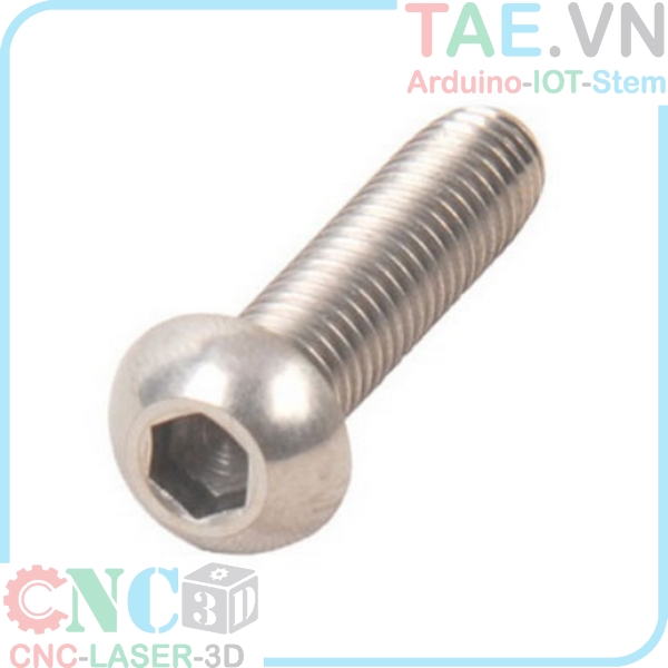 Ốc Lục Giác Đầu Dù Inox M6 Trường An Equipment