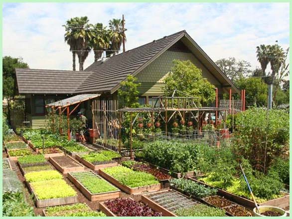 Hình ảnh mẫu nhà 1 tầng đẹp ở nông thôn vô cùng giản dị và gần gũi