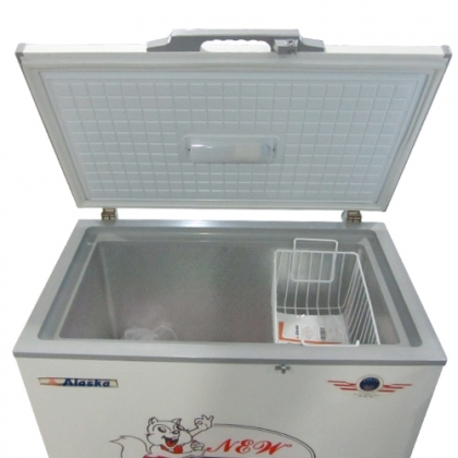 Tủ đông Alaska BD-300C