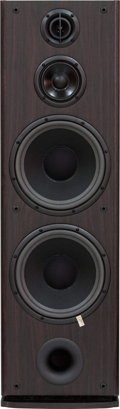 Loa Dalton LS-905, công suất 600W