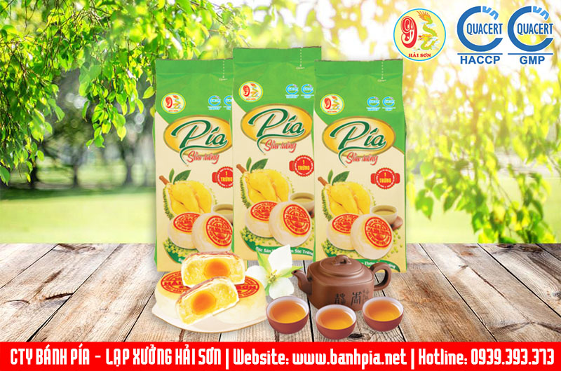 Bánh pía hải sơn hộp 450g