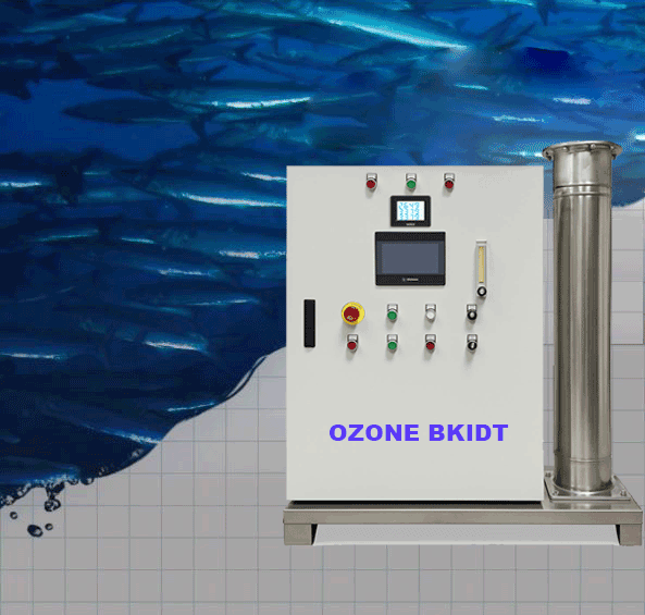 Cách Mạng Hóa Hệ Thống Nuôi Trồng Thủy Sản Tuần Hoàn (RAS) Bằng Ozone: Giải Pháp Bền Vững Cho Tương Lai
