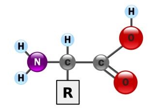 CƠ CHẾ DIỆT KHUẨN CỦA OZONE (PHẦN 1)