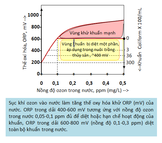 Ứng dụng của ozone trong việc bảo vệ môi trường (Phần I)