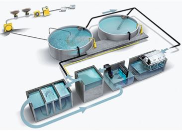 Mô Tả Sơ Đồ Kỹ Thuật: Tích Hợp Ozone Trong Hệ Thống RAS
