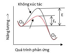 Khử ozone dư bằng chất xúc tác